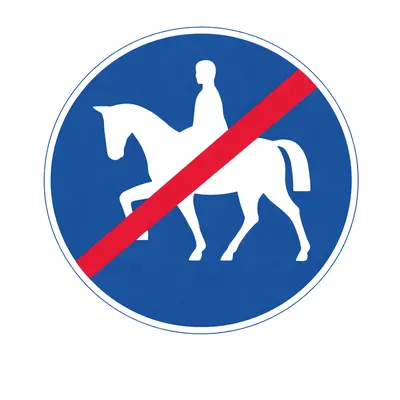 Ata Biniş Yolu Sonu