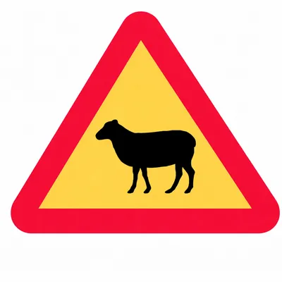 Koyun geçişi